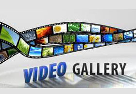 Media Gallery